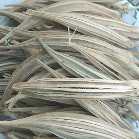 Bamya dermanlyk ösüm