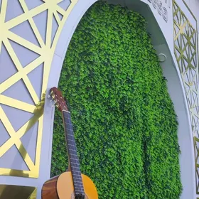 GITARA YAMAHA C40 PAKET CEHOL