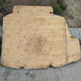 Carolla despe zapaska