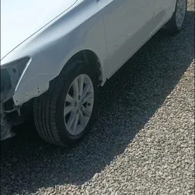 kuzawnoy demirci gerek