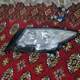 far prada 2023 ak far