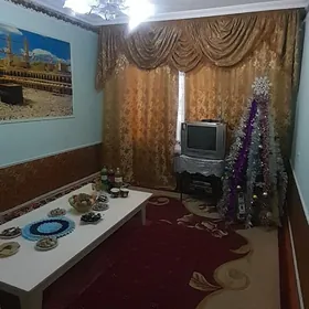 Damavoý  natarusa  taýar.