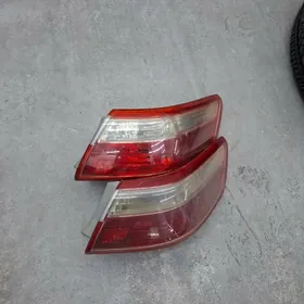 Okuz kelle çyra 08 morda