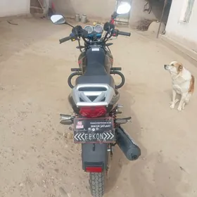 Fekon FK200-14G 2026