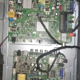 палата.вестль