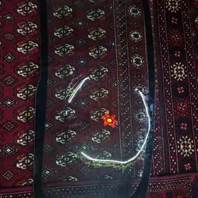 yzky labawoy kia karnival 2025