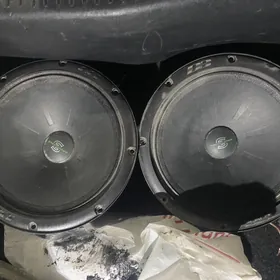 arnold m61se silvestir