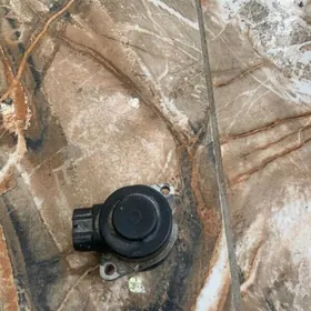 Elektropatsos Mark2.