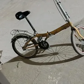 кама спартивенно