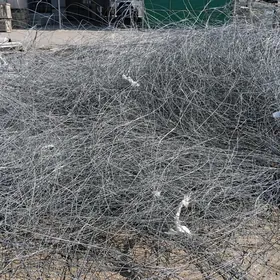 Asinkowka Sim Üzüm 2 lik 3 lik