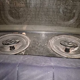 kalonka kampanent pioneer