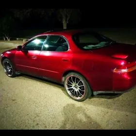 17 лик полка диска