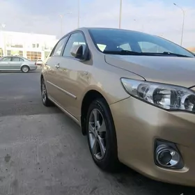 Toyota Corolla 2010
