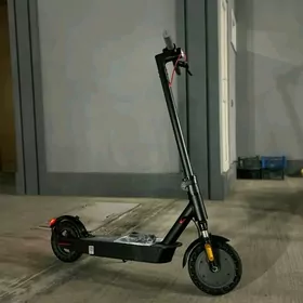 tokly samakat smart gowsy