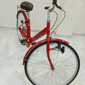 Ÿapoşka welosiped 27