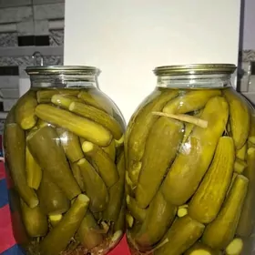 hiýar salýonny pomidor tomat