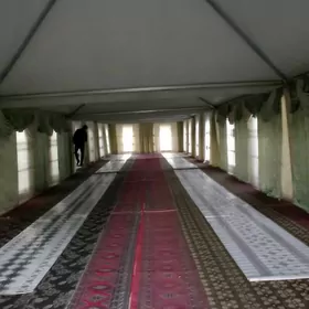 palata palatka палата палатка