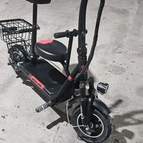 Tokly Samakat yagdayi bett