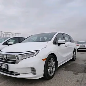 Honda Odyssey 2021