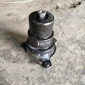 PALTA KEMRI ÖÑ PADUSKA