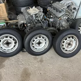 tersel disga tiger 13lik