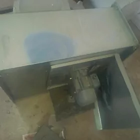 Howalandyrma witicka