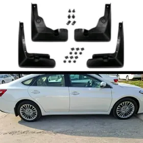 Avalon brazgawik 2013.2019