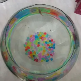 kicikke akvaryumda balyk