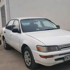 Toyota Corolla 1995