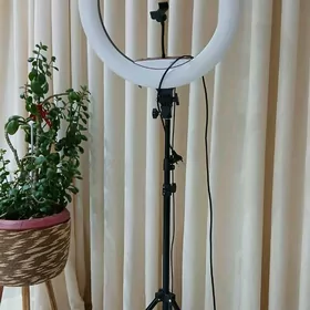 кольцевая лампа