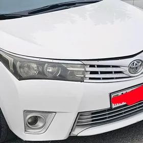 Kapot Bamper Krilo cyralar