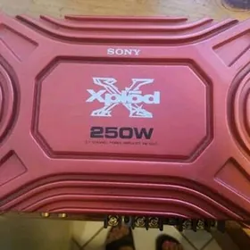 usilitel sony xplod 250