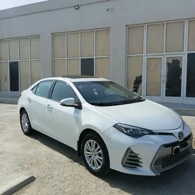 Toyota Corolla 2019