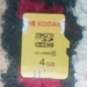 Çip 4Gb