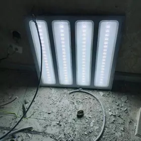 Prožektir LED 60.60