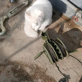 TAL-TELFER   ТАЛЬ-ТЕЛЬФЕР