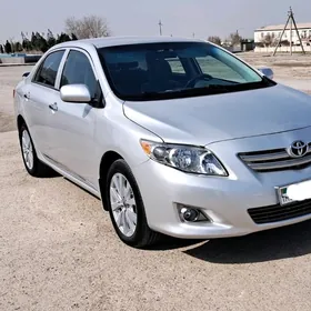 Toyota Corolla 2010