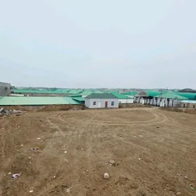 Anew Magtymguly 16sotuk yer