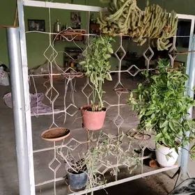 подставка стенка для цветов