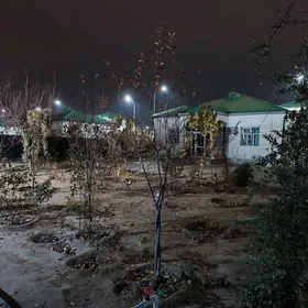 Taze zaman Plan jay 1 tapgry