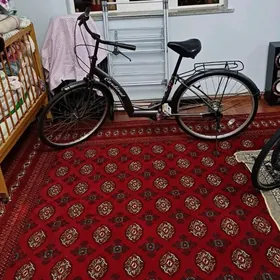 Tigir ÿapoşgo 26lyk