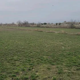 Yer mellek tayyar biznes