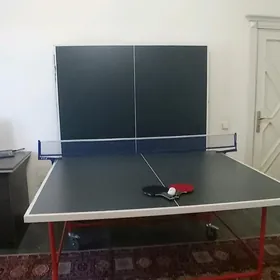 Tennis table