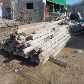 Uzum we parnik ucin pasynkalar