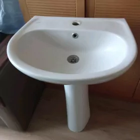 тюльпан турецкий