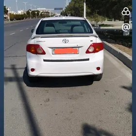 Toyota Corolla 2010