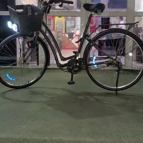 Bridgestone Limuzin Agr rama