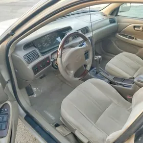 lisicka mebel abmen etjek