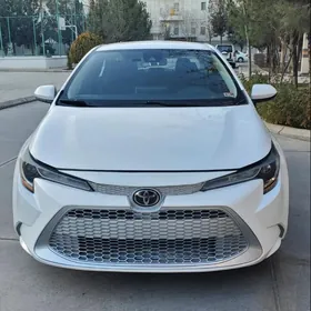 Toyota Corolla 2020