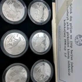 kumus tenneler arasaa